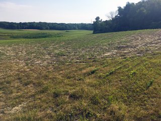 Noble County, Indiana farmland - LAND AUCTION - 54+/- ACRES OFFERED IN 2 TRACTS IN NOBLE COUNTY, INDIANA